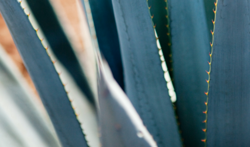 Screen Shot 2023-11-09 at 6.56.30 p.m.